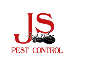 Pest Control Colchester